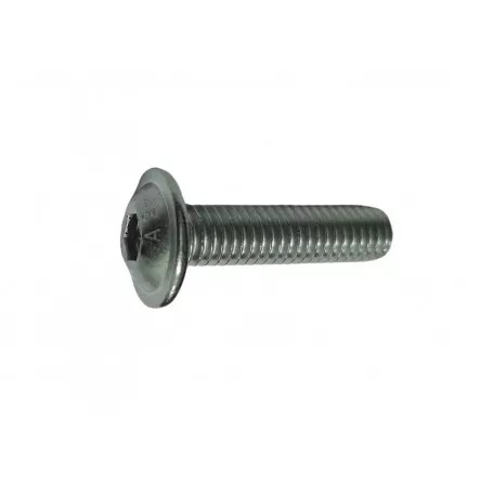 Iso7380-2-a2 tornillo inox con ala m:4x30mm allen